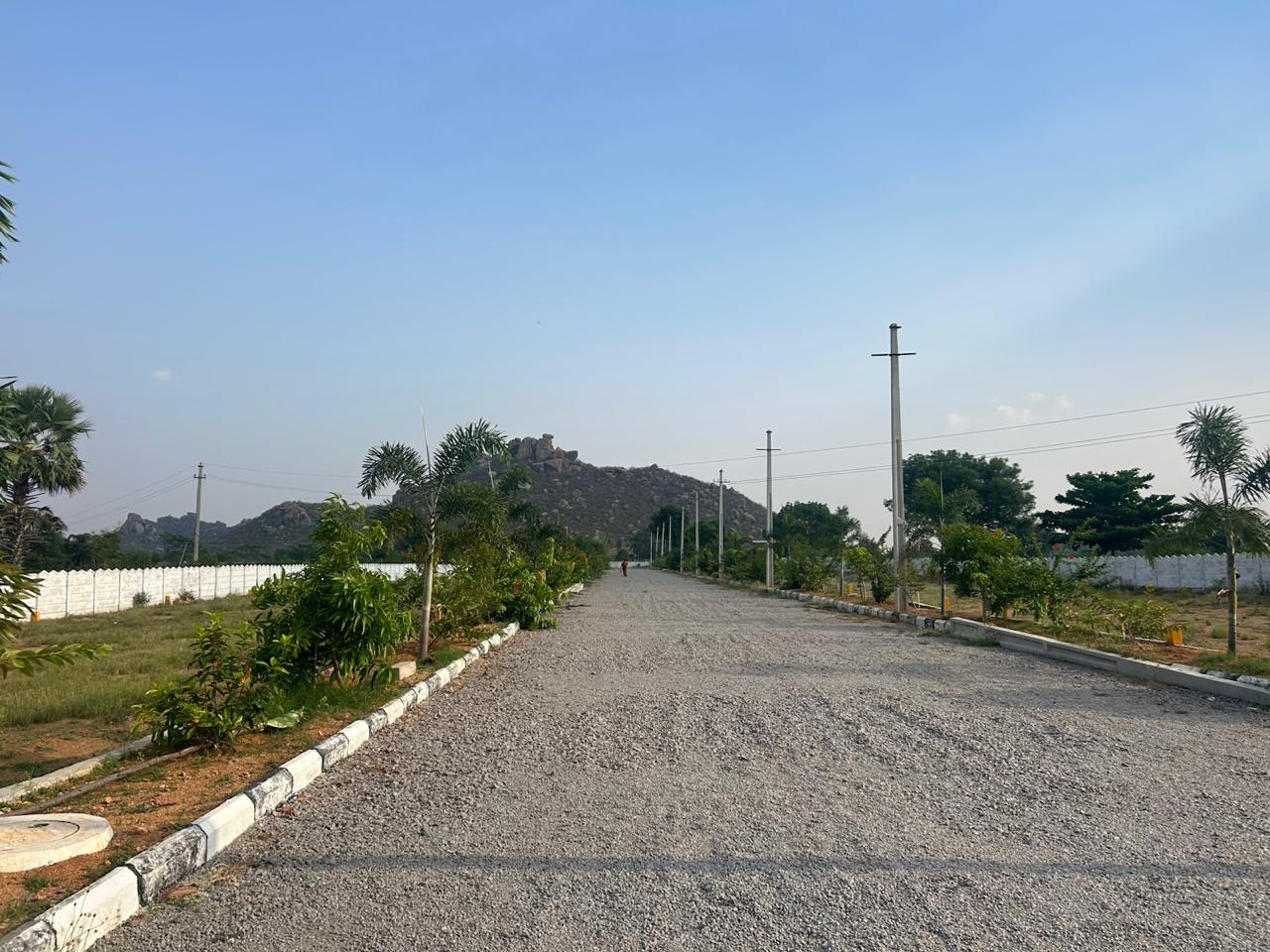 Layout photo